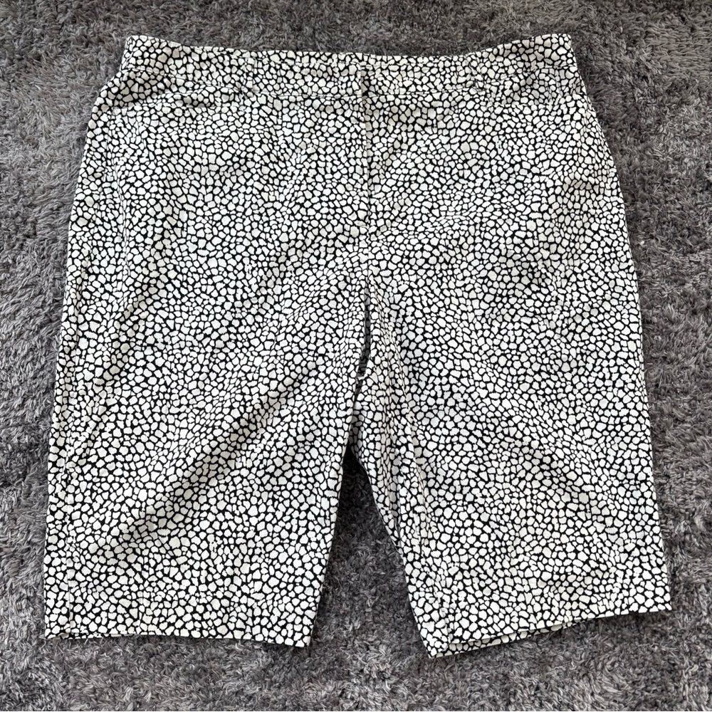 Briggs New York 18W Shorts Black and White